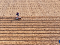 山东枣庄：人勤春来早
