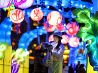 石家庄：赏花灯迎新春
