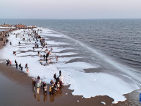河北秦皇岛：海冰引客来
