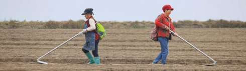 立春：忙碌在希望的田野上