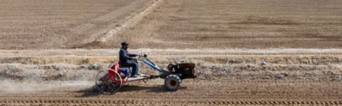 宁夏贺兰：人勤春来早 小麦播种忙