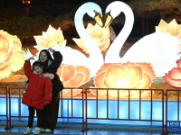 灯耀陕州迎新春
