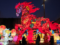 石家庄：赏花灯迎新春
