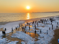 河北秦皇岛：海冰引客来

