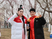 春暖大地桃花开
