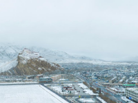 高原春雪润良田 古堡银装迎丰年
