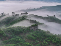 长城晨景
