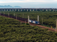 迎峰度夏 电煤保供运输忙
