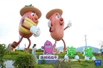 福建连城：小小地瓜干 成就大产业